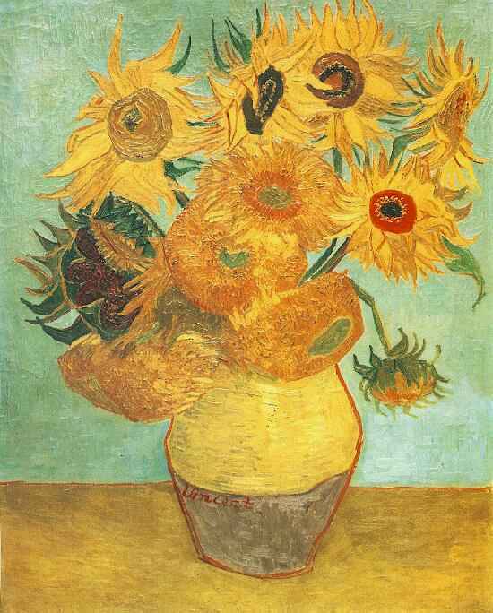 sunflower